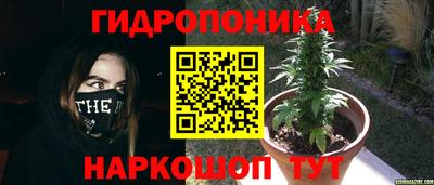 не бодяженный Малгобек