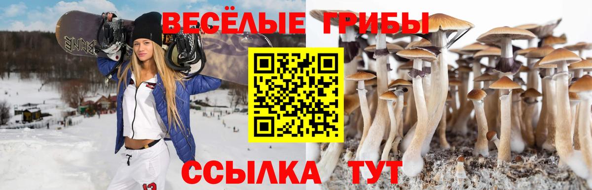Трёхгорный  Псилоцибиновые грибы Magic Shrooms  Вход с VPN 